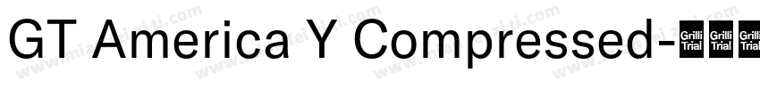 GT America Y Compressed字体转换